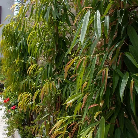 S Paul Hotel Limassol