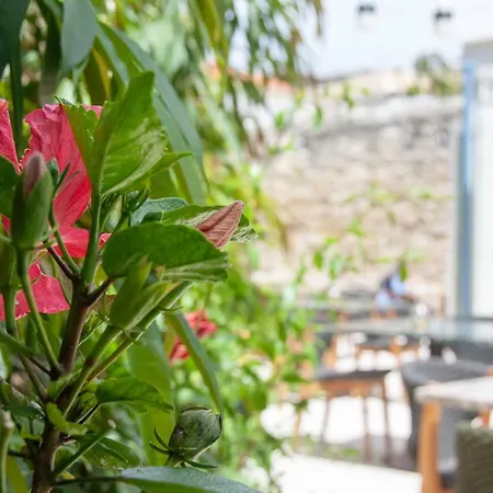 S Paul Hotel Limassol