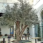 Отель S Paul 3*