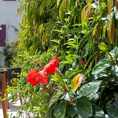 S Paul Hotel