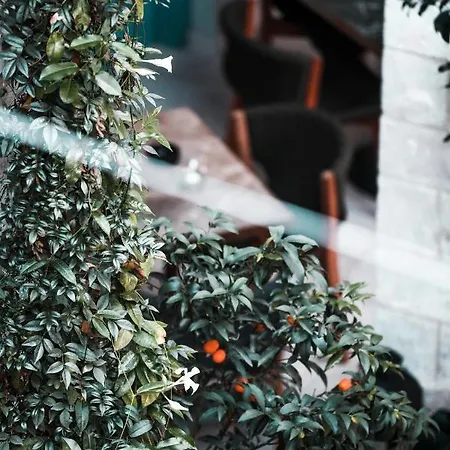 S Paul 3* 레메소스