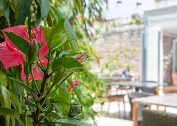 S Paul Hotel Limassol